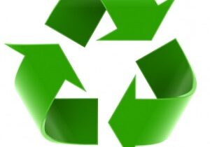 Eco photo 3