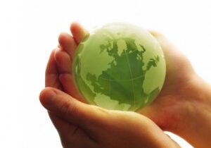 Eco photo 4